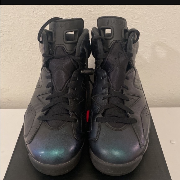 Jordan size 10.5 Chameleon